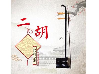 招聘泰州二胡家教老师